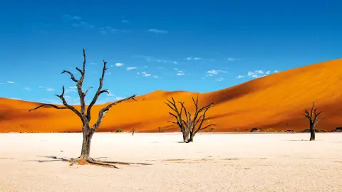 7217-7218_Namibia_content_1920x1080px_Sossusvlei-placeholder