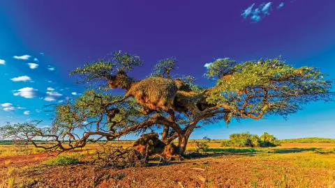 7217-7218_Namibia_content_1920x1080px_kalahari-placeholder