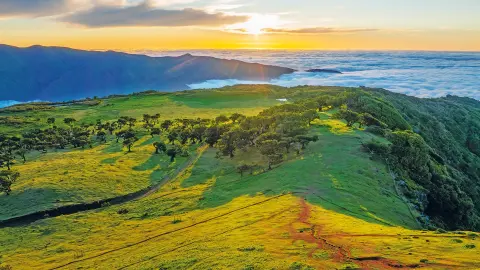 FNC113_Wandern-Madeira_content_1920x1080px_Einzigartiger-Laurissilva-Wald-placeholder
