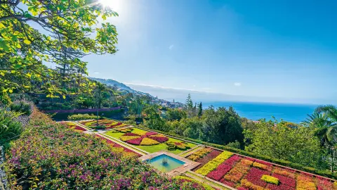 FNC113_Wandern-Madeira_content_1920x1080px_Einzigartiger-Laurissilva-Wald_Botanischer-Garten-in-Funchal-placeholder