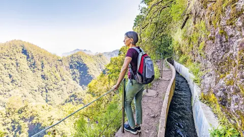 FNC113_Wandern-Madeira_content_1920x1080px_Ribeiro-Frio-placeholder