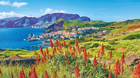 FNC113_Wandern-Madeira_content_1920x1080px_Ponta-do-Sao-Lourenco_titel-placeholder