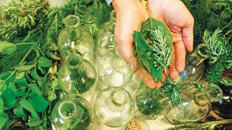 Kräuterlikör-Workshop „Hierbas"-placeholder