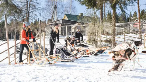 Huskyfarm in Finnland-placeholder