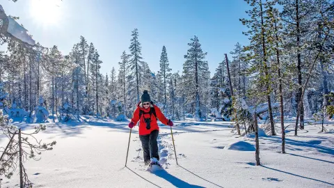 Winterwanderung im Schnee-placeholder
