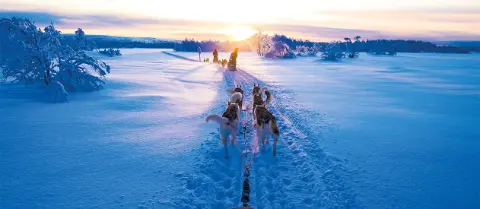 Husky Hunde ziehen Schlitten im Schnee in Richtung Sonne-placeholder
