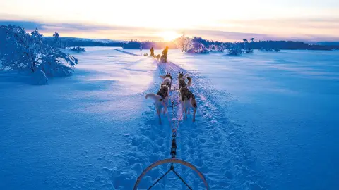 Husky Hunde ziehen Schlitten im Schnee in Richtung Sonne-placeholder