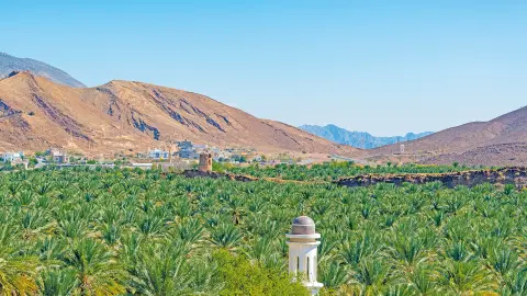 MCT114_115_7253+7254_Wunderstaedte-&-Wuestenzauber_25_content_1920x1080px_Oase_Birkat Al Mouz-placeholder