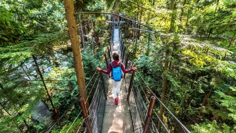 7033_Traummhaftes_Kanada_content_1920x1080px_Bridge_Park01-placeholder