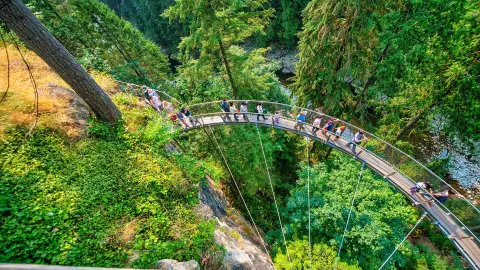 7033_Traummhaftes_Kanada_content_1920x1080px_Bridge_Park02-placeholder