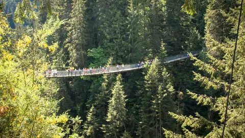 7033_Traummhaftes_Kanada_content_1920x1080px_Bridge_Park03-placeholder