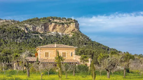 PMI111_zauberhafte-Mandebluete-Mallorca_content_1920x1080px_puig-de-Randa-placeholder