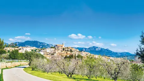 PMI111_zauberhafte-Mandebluete-Mallorca_content_1920x1080px_mallorca-kathedrale_titel-placeholder