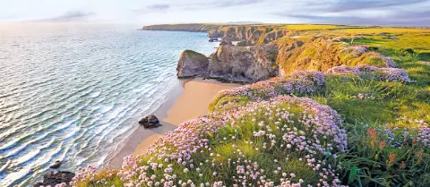 Felsenküste von Cornwall-placeholder