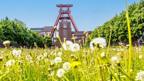 Danach entdecken Sie auf eigene Faust die Zeche Zollverein, die seit 2001 UNESCO-Welterbe ist.-placeholder