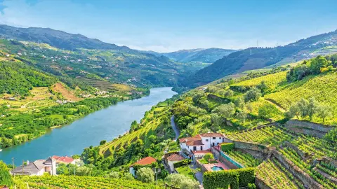 Laenderseite_Portugal_wkz_Kachel_1920x1080px_douro-placeholder