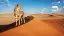 Afrika  Magisches Namibia - Gepard in der Wüste-placeholder