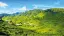 Malaysia & Singapur Cameron Highlands-placeholder