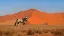 5893-94_Namibia_content_1920x1080px_Oryxantilope_Sossusvlei-placeholder