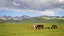 6010-11_schaetze-der-seidenstrasse_nomadischer-lebensstil-der-kirgisen-reisepartner-placeholder