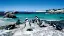 6600-01_Faszination-Suedafrika_boulders-beach_pinguine-placeholder