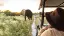 6600-01_Faszination-Suedafrika_frau_safari_elefanten_Titel-placeholder