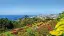 6837_Madeira_Porto-Santo_content_1920x1080px_Botanischer-Garten-in-Funchal-placeholder
